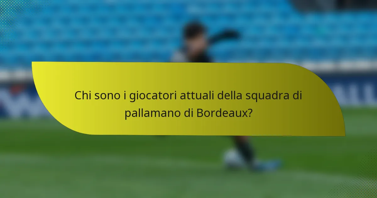 Chi sono i giocatori attuali della squadra di pallamano di Bordeaux?