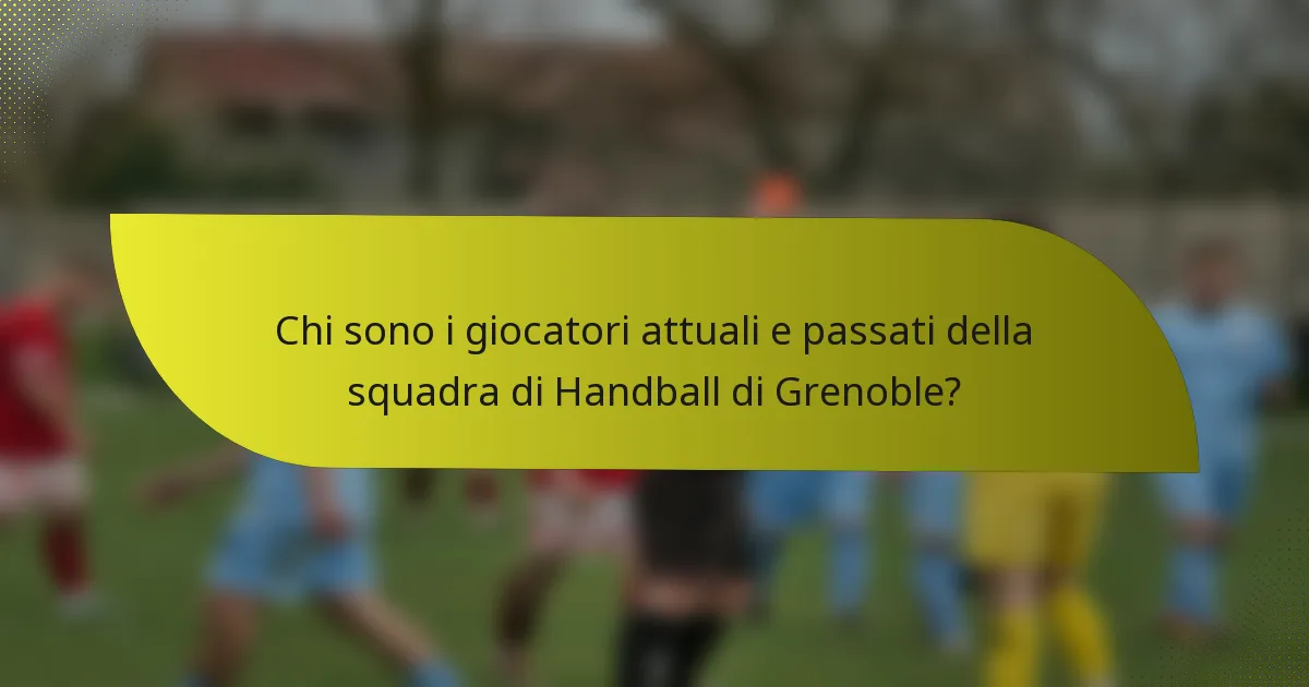 Chi sono i giocatori attuali e passati della squadra di Handball di Grenoble?