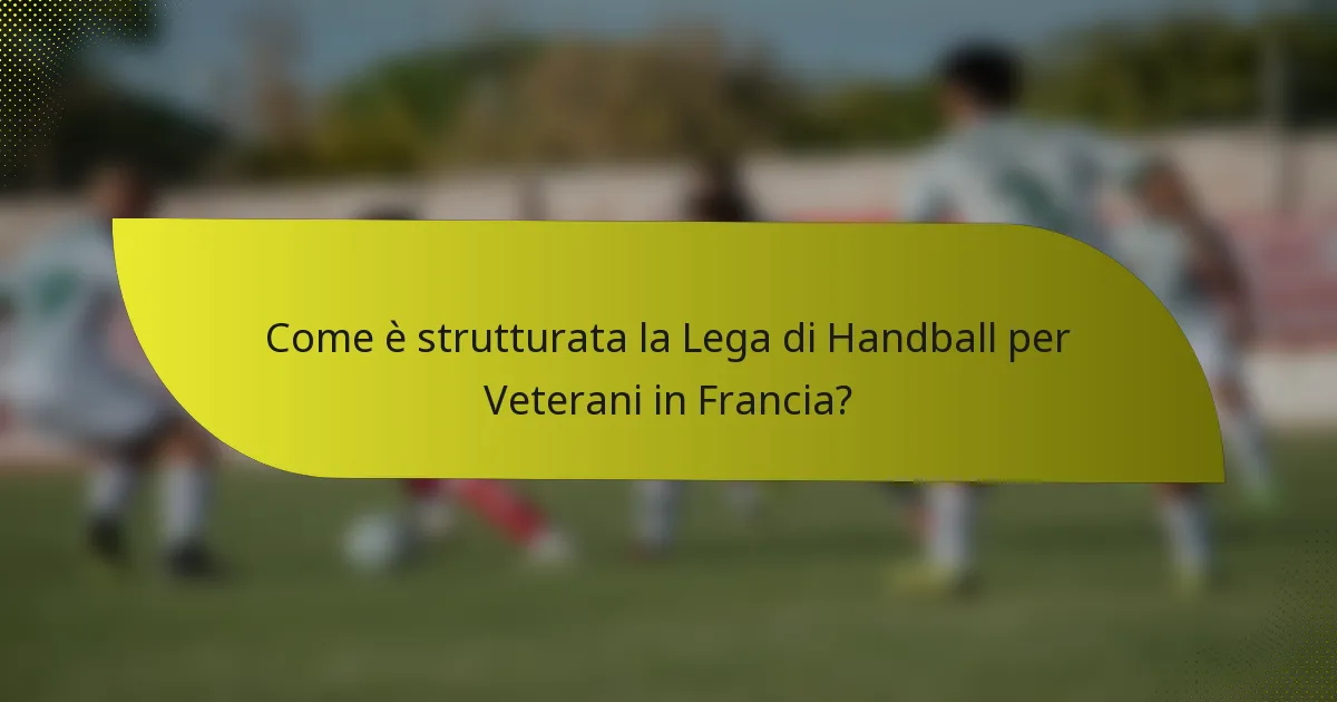 Come è strutturata la Lega di Handball per Veterani in Francia?