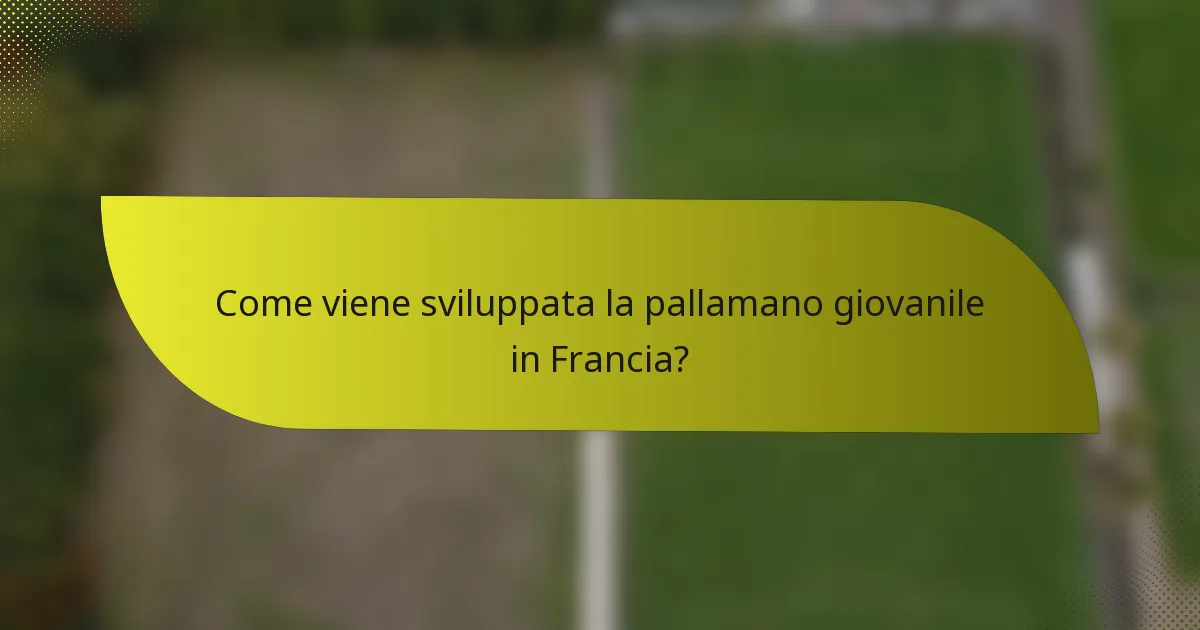 Come viene sviluppata la pallamano giovanile in Francia?