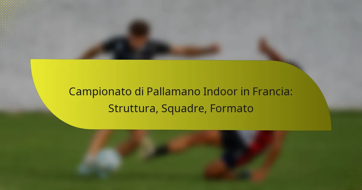 Campionato di Pallamano Indoor in Francia: Struttura, Squadre, Formato