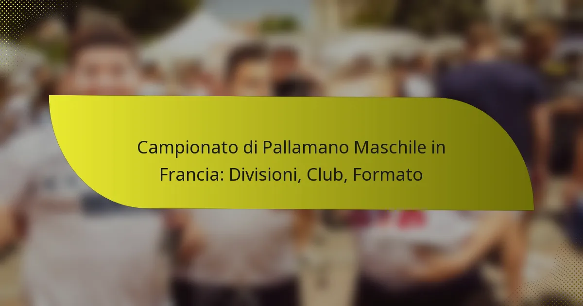 Campionato di Pallamano Maschile in Francia: Divisioni, Club, Formato