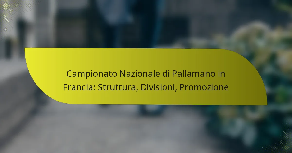 Campionato Nazionale di Pallamano in Francia: Struttura, Divisioni, Promozione