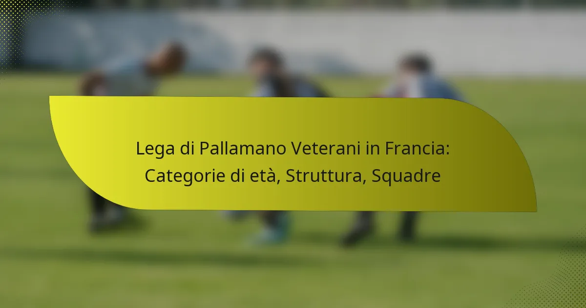 Lega di Pallamano Veterani in Francia: Categorie di età, Struttura, Squadre