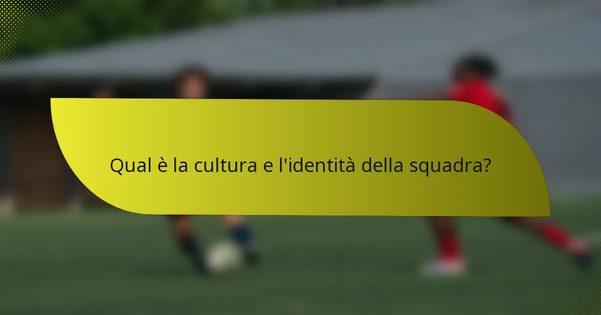 Qual è la cultura e l'identità della squadra?