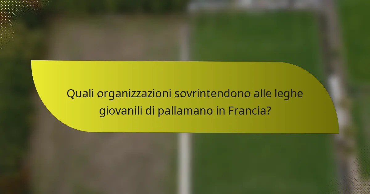 Quali organizzazioni sovrintendono alle leghe giovanili di pallamano in Francia?