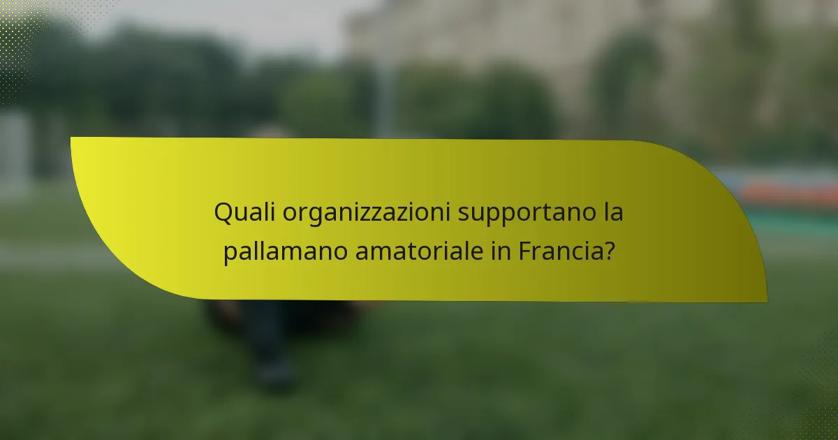 Quali organizzazioni supportano la pallamano amatoriale in Francia?